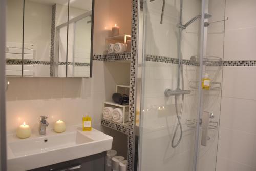 a bathroom with a shower and a sink and a shower at Porte de Versailles in Issy-les-Moulineaux