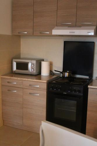 eine Küche mit Mikrowelle und Herd in der Unterkunft Exceptional Suite in Čačak