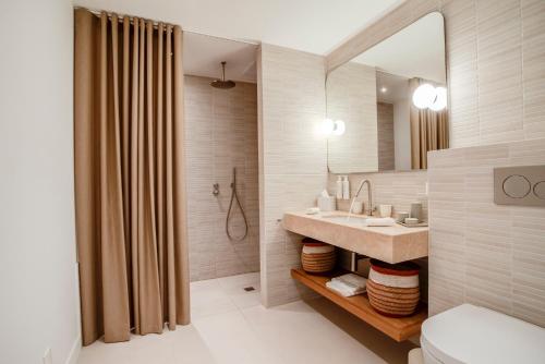 a bathroom with a sink and a toilet and a mirror at Domaine de Panery in Pouzilhac