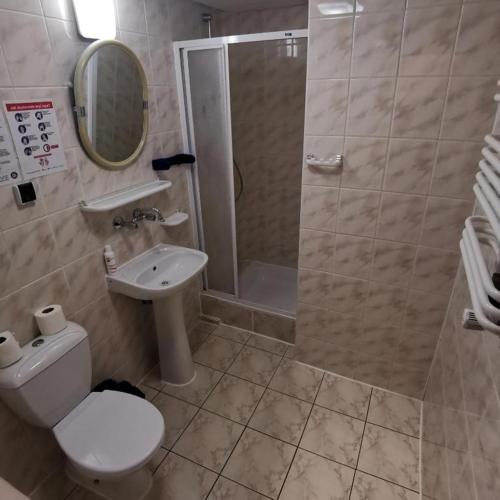 a bathroom with a shower and a toilet and a sink at SzSM Hadle Szklarskie in Hadle Szklarskie
