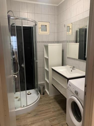 een badkamer met een douche, een wastafel en een wasmachine bij Les Gîtes des Serves in Chavanay