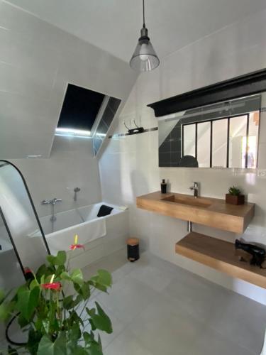 CourtilsにあるAppartement Lu'ermael avec vue Mont Saint Michelの洗面台と鏡のあるバスルーム