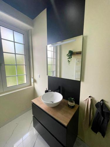 a bathroom with a sink and a mirror at JungleClassic en plein cœur de Mulhouse in Mulhouse