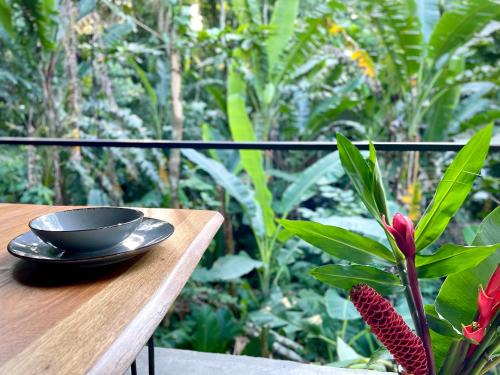 a black bowl sitting on a wooden table next to a plant at Brand new huge apt with Air Conditioner and a private pool and kitchen in Cocles