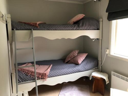 two bunk beds in a room with a ladder at Fjällgården Grövelsjön Lillstugan 