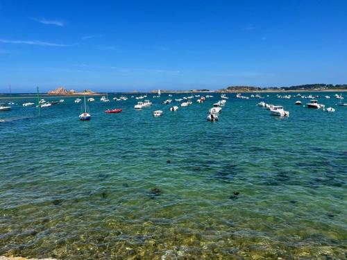 a large group of boats in the water at Ty Koad in Lanmodez