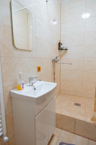 a bathroom with a sink and a shower at Садиба над потоком in Lumshory