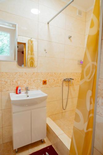a bathroom with a sink and a shower at Садиба над потоком in Lumshory