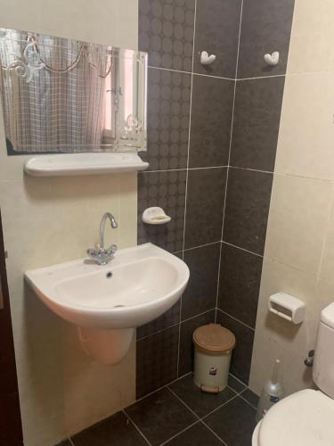 uma casa de banho com um lavatório e um WC em شقه فندقيه الترا سوبر لوكس بارقي مناطق اسيوط em Assiut