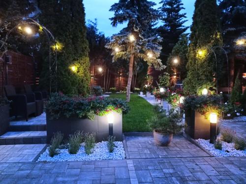 Pokoje hotelowe Nad Zalewem في سيدلس: حديقة في الليل بها أضواء ونباتات