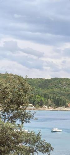 a boat in the middle of a large body of water at D,apartman' ulica pušća 51, 51513 Omišalj in Omišalj