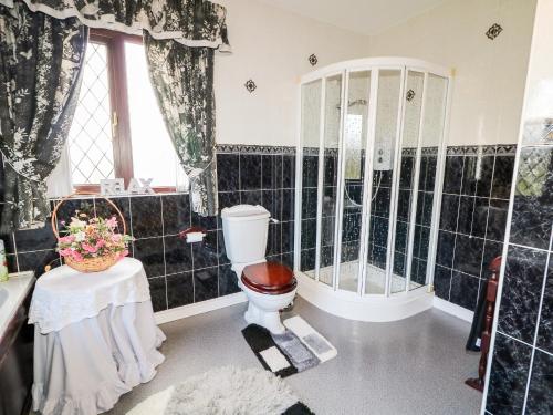 a bathroom with a toilet and a shower and a sink at Derriens Farmhouse in Enniskillen