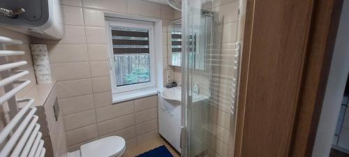 ein Bad mit einer Dusche, einem WC und einem Waschbecken in der Unterkunft Nostalgija2 in Nida