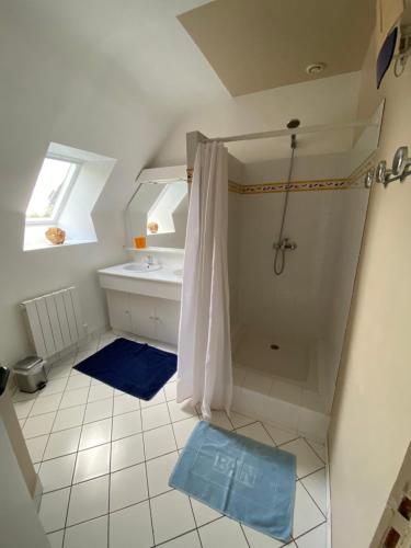 a bathroom with a shower and a sink at Maison de vacances l’Émeraude in Saint-Coulomb
