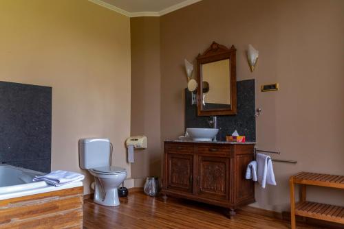 a bathroom with a toilet and a sink and a mirror at Domaine Du Chateau De La Neuville in Tihange