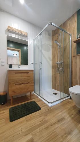 a bathroom with a shower and a sink and a toilet at Dolina Białego Wilka - Niebieskie Domki in Zawóz