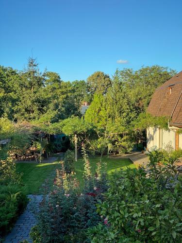 a garden with flowers and trees and a house at Garden House in Timişoara