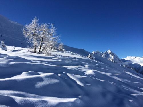 a snow covered slope with a tree and mountains at Exceptionnel duplex en Residence & Spa Vallorcine Mont-Blanc 5 étoiles in Vallorcine