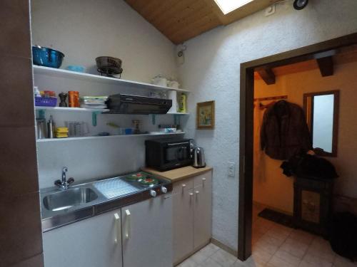 a kitchen with a sink and a microwave at Ferienwohnung Interlaken/Wilderswil in Wilderswil