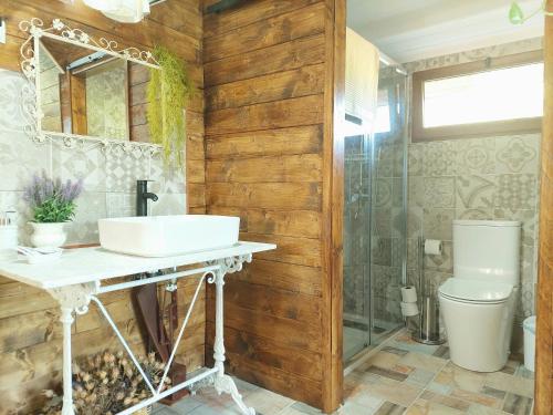 a bathroom with a sink and a toilet and a mirror at Casa Solis Monteprincipe in Boadilla del Monte