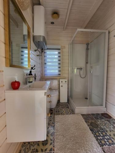 ein Bad mit einer Dusche, einem Waschbecken und einem WC in der Unterkunft Domek 105 in Gietrzwałd