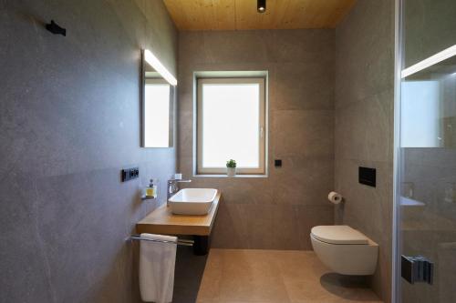 a bathroom with a toilet and a sink and a window at Apartmány Lipno Přední Výtoň in Přední Výtoň