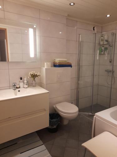 a bathroom with a toilet sink and a shower at apartment on the first floor of the house in Skien