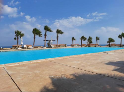 a large swimming pool with palm trees in the background at Telal Ain Sokhna Villa in Ain Sokhna