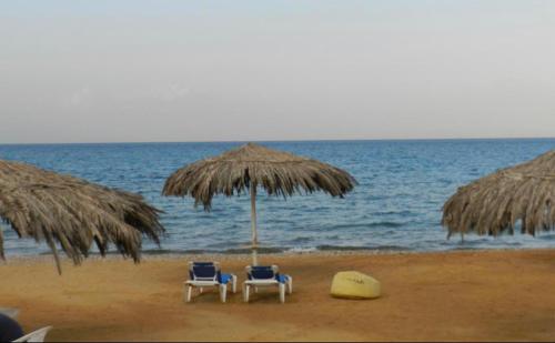 - deux chaises et un parasol sur la plage dans l'établissement Telal Ain Sokhna Villa, à Ain Sokhna