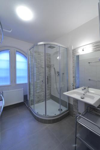 a bathroom with a shower and a sink at Wellness Pension Fulda Černý Důl in Cerny Dul