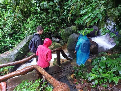 Finca Carmela – Photos 2