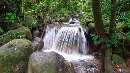 Finca Carmela – Photos 3