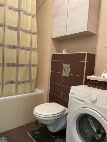 a bathroom with a toilet and a washing machine at Apartment Jelena in Zagreb