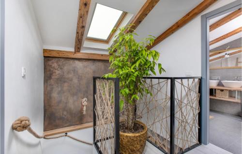 a potted plant in a room with a staircase at Pet Friendly Home In Malinska With Outdoor Swimming Pool in Malinska