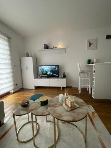TV a/nebo společenská místnost v ubytování Apartman 5 Vrnjačka Banja