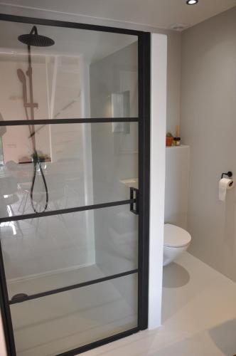 a glass shower door in a bathroom with a toilet at B&B Sonnehuys in Nieuwland