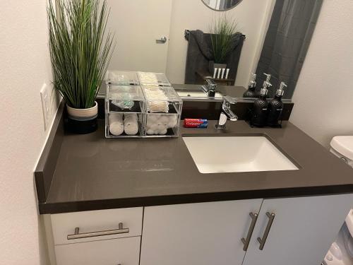 a bathroom counter with a sink and some plants at DTLA home away in Los Angeles