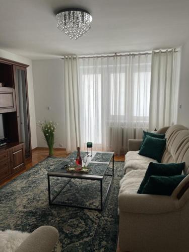 a living room with a couch and a coffee table at Green Apartment in Koło