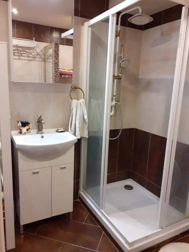 une salle de bain avec douche et lavabo dans l'établissement Appartement avec jardin, à Roquebrune-Cap-Martin