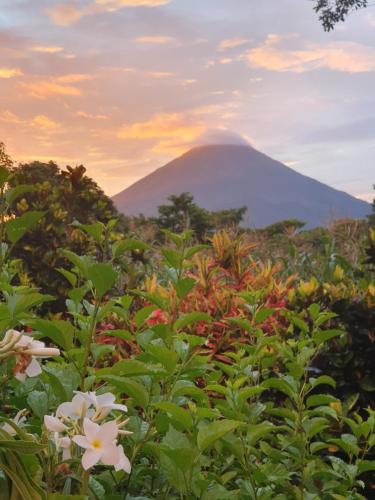 a mountain in the distance with flowers in the foreground at El Encanto Garden Hotel in Santa Cruz