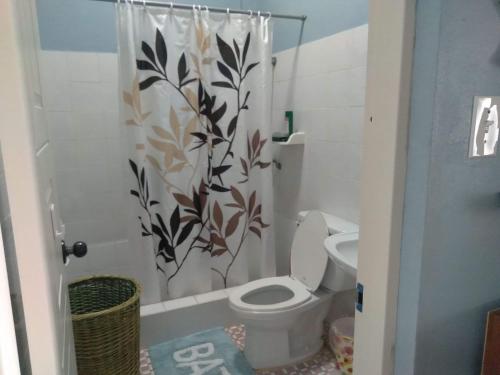 a bathroom with a toilet and a shower curtain at lee's home2 in San Vicente