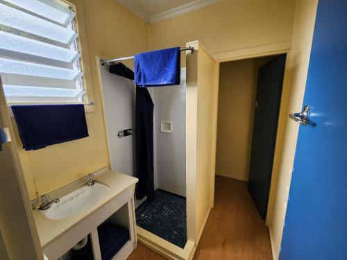 a bathroom with a sink and a shower with a mirror at Possum Lodge in Manapouri