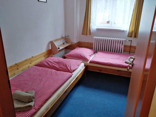 Cette chambre comprend 2 lits et une fenêtre. dans l'établissement Penzion Iris Krkonoše, à Horní Maršov