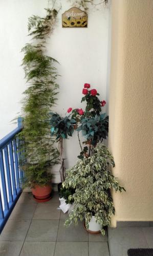 Photo de la galerie de l'établissement Almyra View House, à Skopelos
