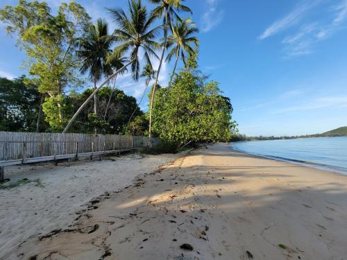 a sandy beach with palm trees and the ocean at Satva Samui Yoga and Wellness Resort in Amphoe Koh Samui