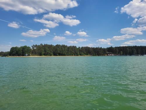 a large body of water with trees in the background at Dzik w zagrodzie in Borsk
