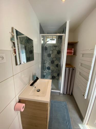 La salle de bains est pourvue d'un lavabo et d'une douche. dans l'établissement L’Albâtre - Maison située à quelques pas de la mer, à Saint-Aubin-sur-Scie