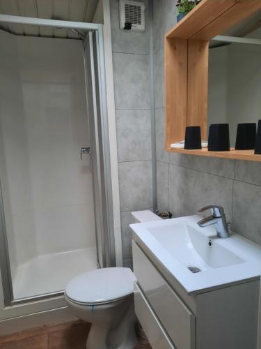 ein Bad mit einem WC, einem Waschbecken und einer Dusche in der Unterkunft Scottish Wood Lodge in Ypern