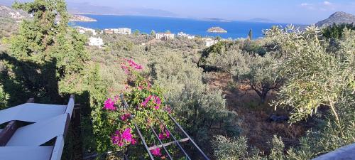 a view of a hill with flowers and the ocean at Stone House in olive grove in Tolo