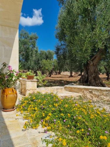 a garden with a large tree and flowers at Trulli Di Spinaruta in Grottaglie
